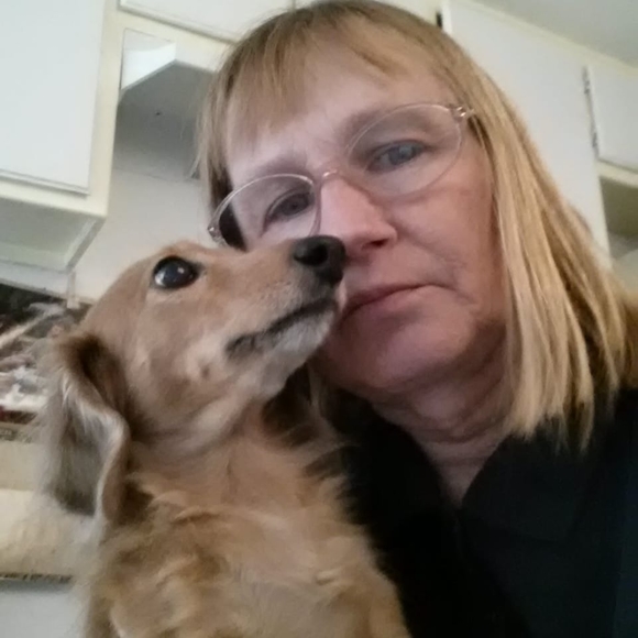 Meet your Posher, Lilly - Picture 1 of 1